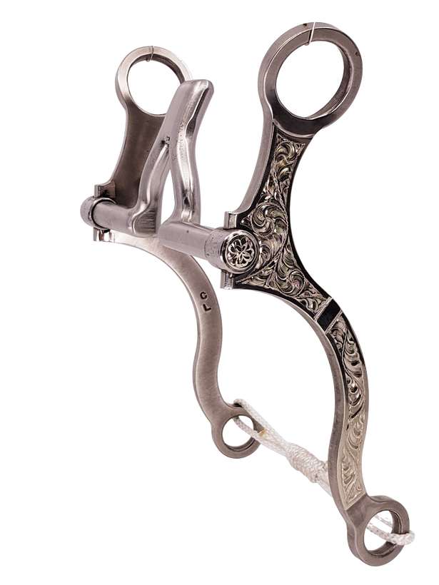 Chuck Letchworth Bits