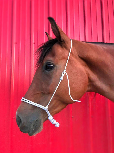 ROPE CAVESSON (NOSEBAND)